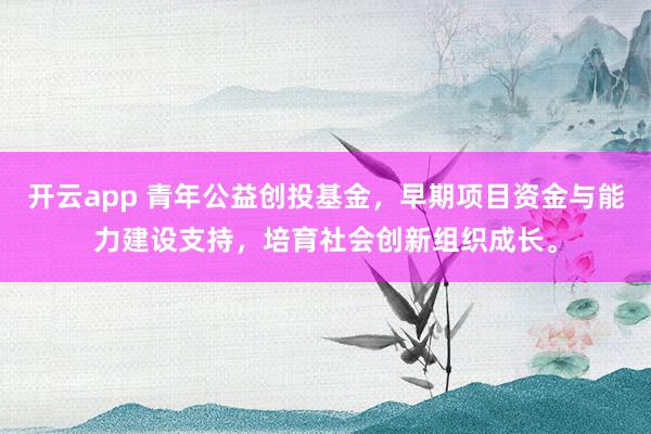 开云app 青年公益创投基金，早期项目资金与能力建设支持，培育社会创新组织成长。