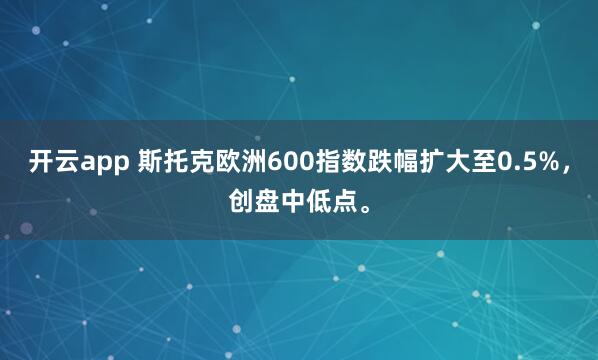 开云app 斯托克欧洲600指数跌幅扩大至0.5%，创盘中低点。