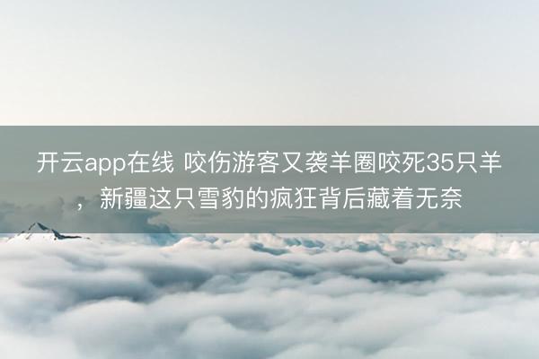 开云app在线 咬伤游客又袭羊圈咬死35只羊，新疆这只雪豹的疯狂背后藏着无奈