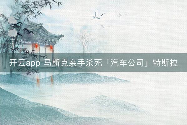开云app 马斯克亲手杀死「汽车公司」特斯拉