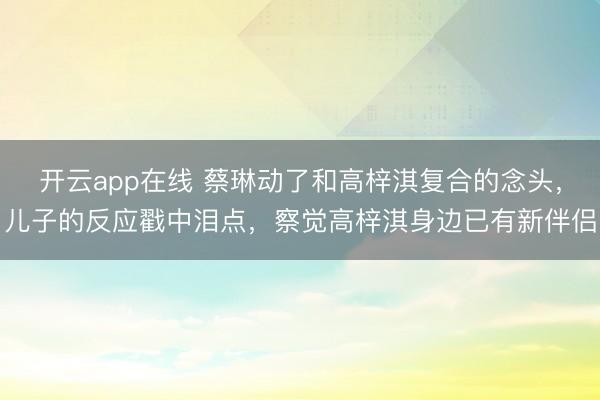 开云app在线 蔡琳动了和高梓淇复合的念头，儿子的反应戳中泪点，察觉高梓淇身边已有新伴侣