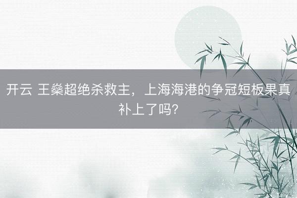 开云 王燊超绝杀救主，上海海港的争冠短板果真补上了吗？