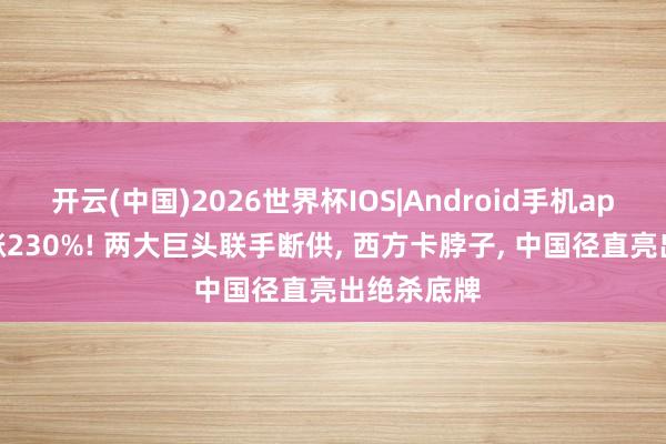 开云(中国)2026世界杯IOS|Android手机app下载 暴涨230%! 两大巨头联手断供, 西方卡脖子, 中国径直亮出绝杀底牌
