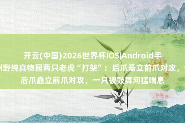 开云(中国)2026世界杯IOS|Android手机app下载 安徽宿州野纯真物园两只老虎“打架”：后爪矗立前爪对攻，一只被鼓舞河猛喘息