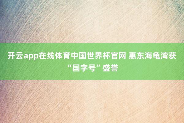 开云app在线体育中国世界杯官网 惠东海龟湾获“国字号”盛誉