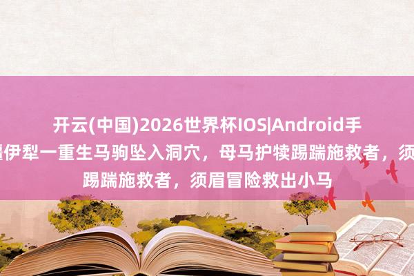 开云(中国)2026世界杯IOS|Android手机app下载 新疆伊犁一重生马驹坠入洞穴,母马护犊踢踹施救者,须眉冒险救出小马
