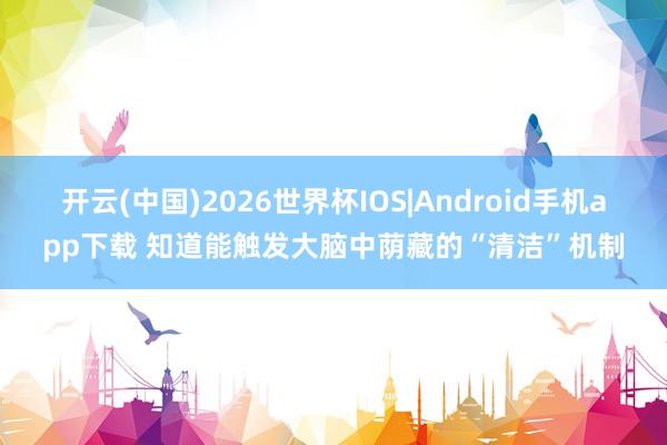 开云(中国)2026世界杯IOS|Android手机app下载 知道能触发大脑中荫藏的“清洁”机制