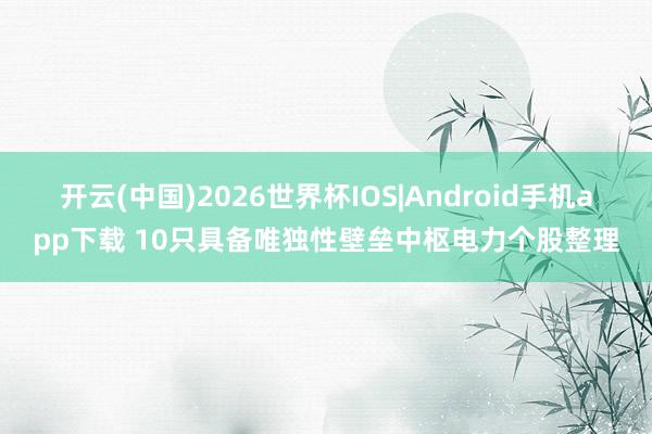 开云(中国)2026世界杯IOS|Android手机app下载 10只具备唯独性壁垒中枢电力个股整理