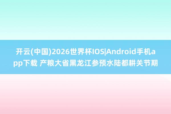 开云(中国)2026世界杯IOS|Android手机app下载 产粮大省黑龙江参预水陆都耕关节期