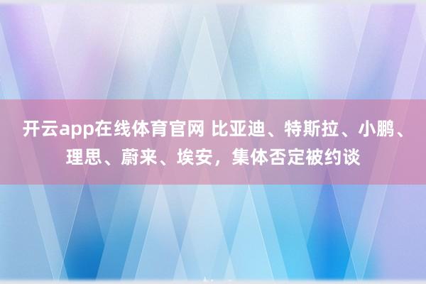 开云app在线体育官网 比亚迪、特斯拉、小鹏、理思、蔚来、埃安,集体否定被约谈