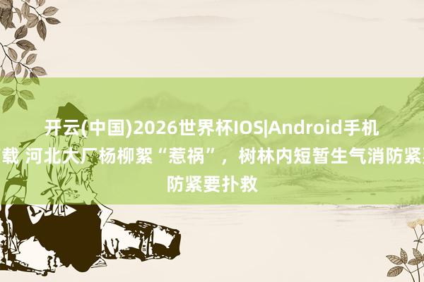 开云(中国)2026世界杯IOS|Android手机app下载 河北大厂杨柳絮“惹祸”,树林内短暂生气消防紧要扑救