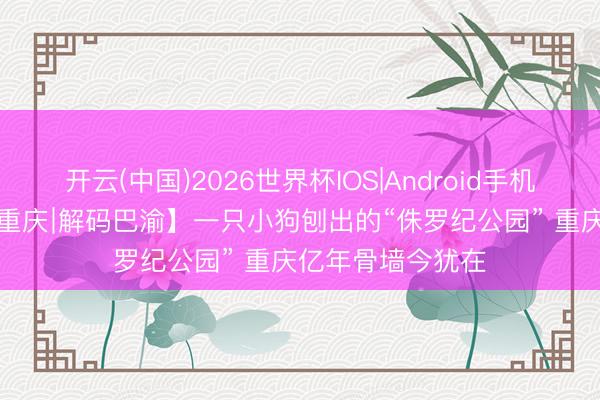 开云(中国)2026世界杯IOS|Android手机app下载 【何故重庆∣解码巴渝】一只小狗刨出的“侏罗纪公园” 重庆亿年骨墙今犹在