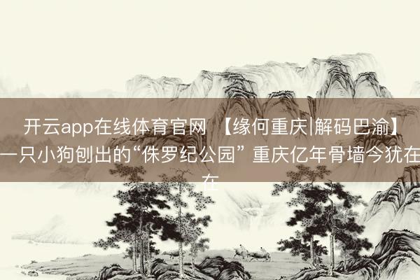 开云app在线体育官网 【缘何重庆∣解码巴渝】一只小狗刨出的“侏罗纪公园” 重庆亿年骨墙今犹在