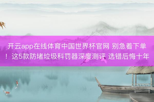 开云app在线体育中国世界杯官网 别急着下单!这5款防堵垃圾科罚器深度测评 选错后悔十年
