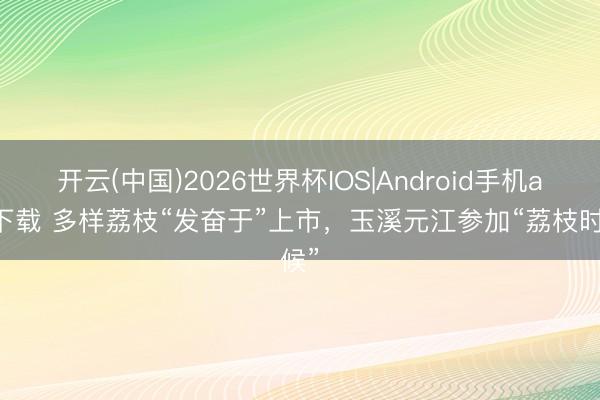 开云(中国)2026世界杯IOS|Android手机app下载 多样荔枝“发奋于”上市,玉溪元江参加“荔枝时候”
