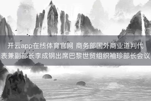 开云app在线体育官网 商务部国外商业道判代表兼副部长李成钢出席巴黎世贸组织袖珍部长会议